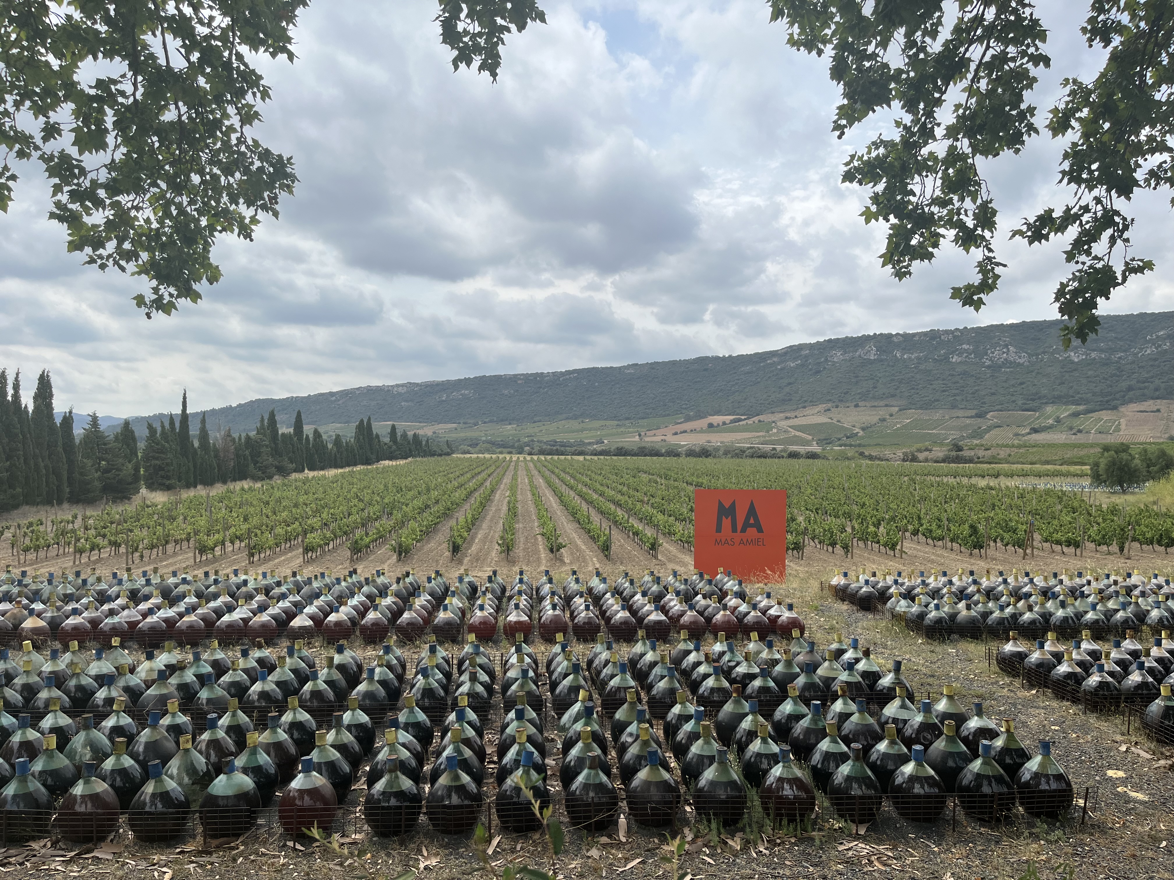 Photo n° 4 de l'avis de Johnny.o fait le 16/08/2023 à 11:22