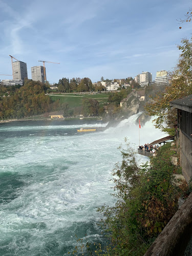 Neuhausen, Schloss Laufen am Rheinfall