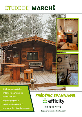 Frédéric Spannagel Immobilier à Fillinges