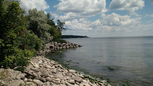 Parks with barbecues in Toronto