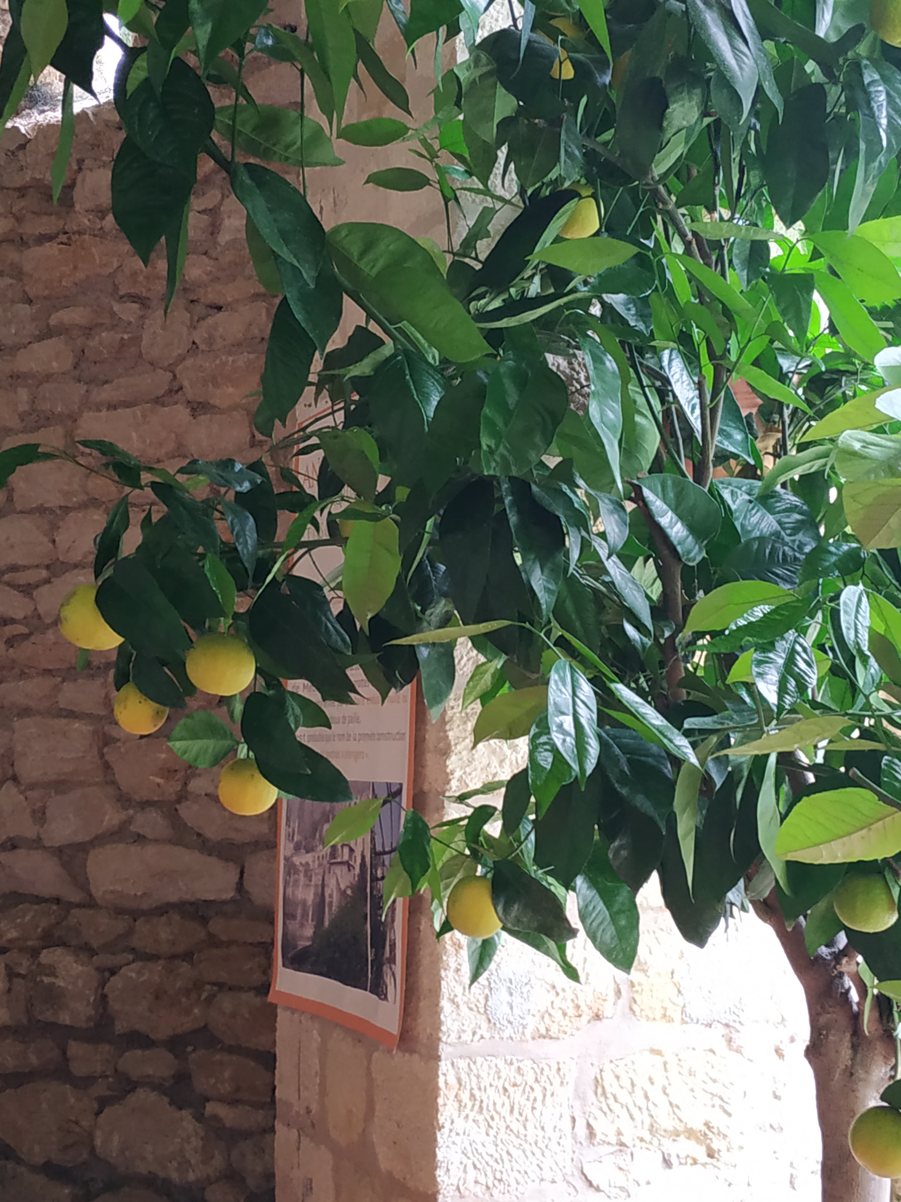 Photo n° 2 de l'avis de Isabelle.e fait le 20/06/2021 à 07:05