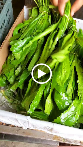 Grocery Store «Americana Grocery», reviews and photos, 10897 Main Street, Fairfax, VA 22030, USA