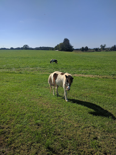 Wedding Venue «Brandy Hill Farm», reviews and photos, 18404 Bel Pre Rd, Culpeper, VA 22701, USA