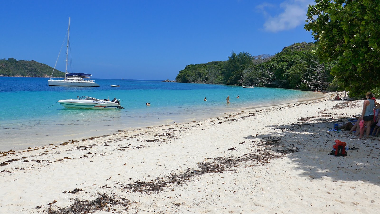 Foto de Praia Anse St. Jose localizado em área natural