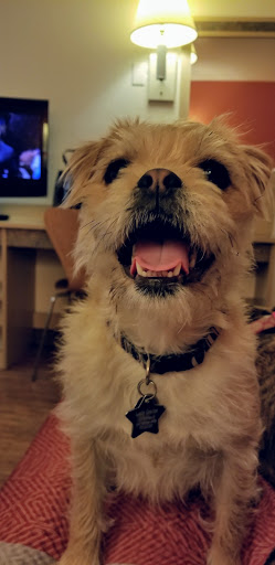 Pet Supply Store «Pet Supplies Plus», reviews and photos, 1433 E Main St, Owosso, MI 48867, USA