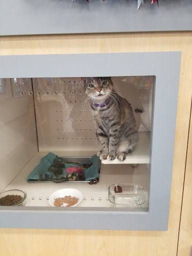 Pet Supply Store «Petco Animal Supplies», reviews and photos, 2621 MacArthur Rd, Whitehall, PA 18052, USA