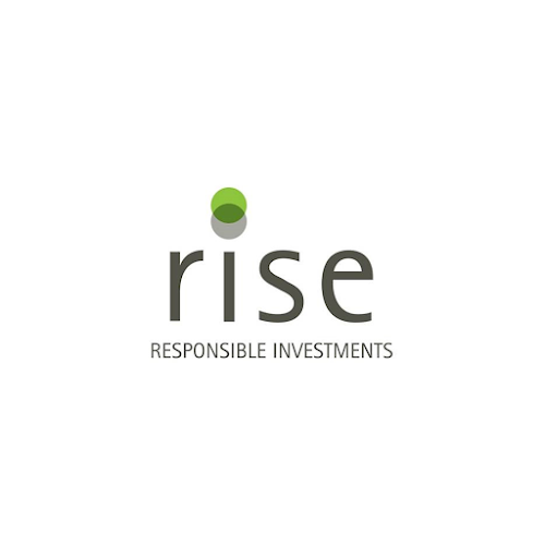 Rise Financial - Financial Consultant