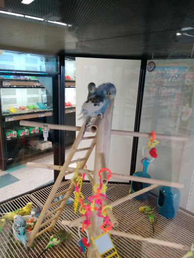 Pet Supply Store «Petco Animal Supplies», reviews and photos, 1930 SW Wanamaker Rd, Topeka, KS 66604, USA