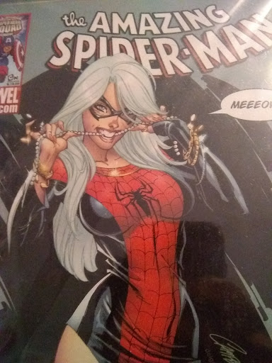 Comic Book Store «Comic Universe», reviews and photos, 446 MacDade Boulevard, Folsom, PA 19033, USA