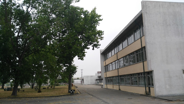 Escola Secundária Dr. João Carlos Celestino Gomes - Ílhavo