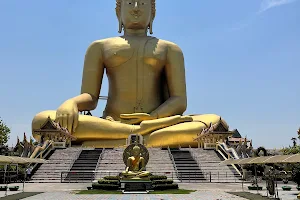 the Tallest Buddha Statue image