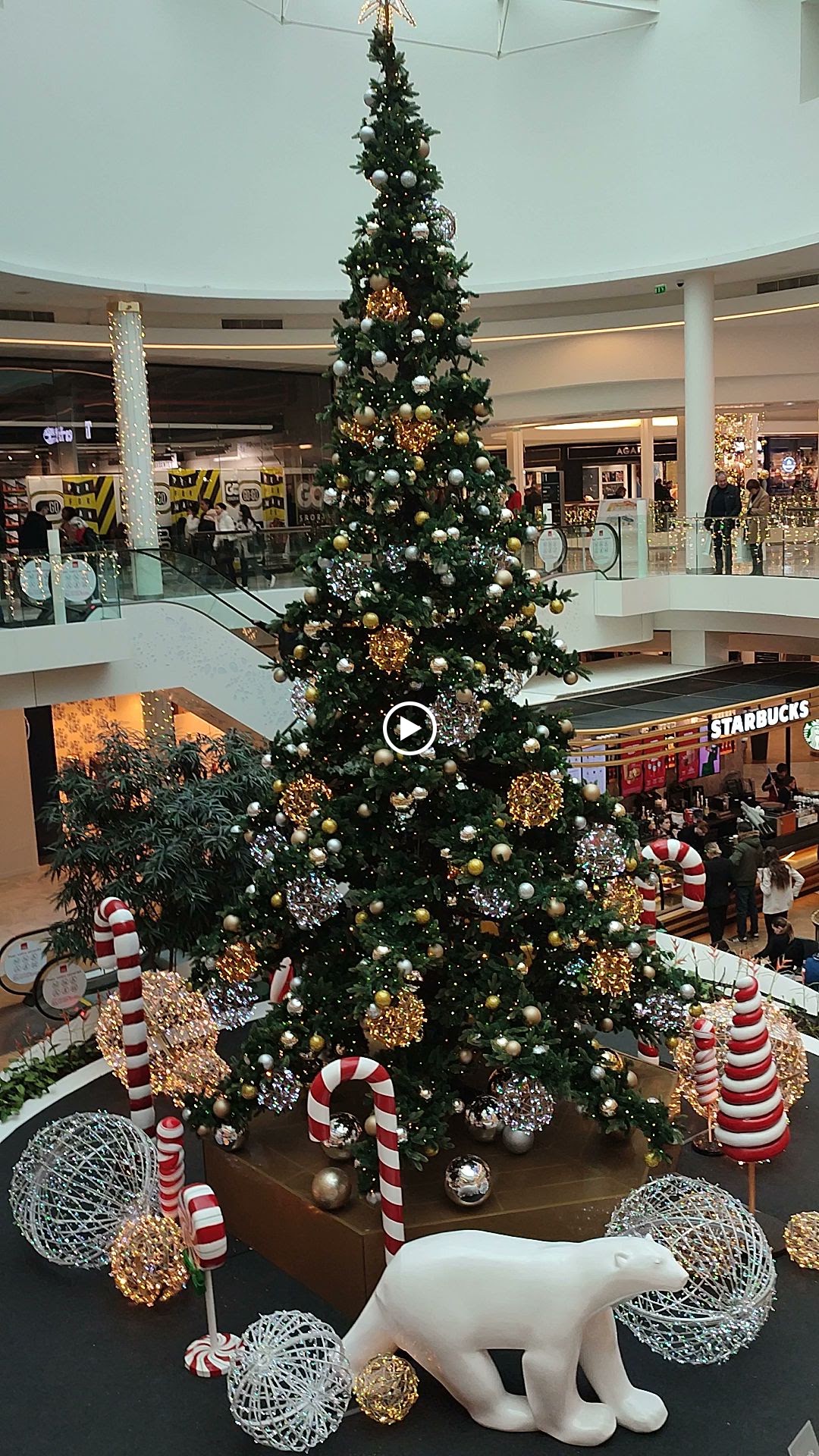 Photo n° 1 de l'avis de ouzé.e fait le 15/12/2023 à 16:30