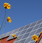 DFW Solar Electric