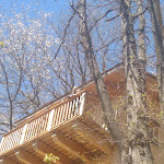 Photo n°3 de l'avis de Eliana.o fait le 18/04/2022 à 19:39 sur le  L'Ostu dal Casalot à Frassino