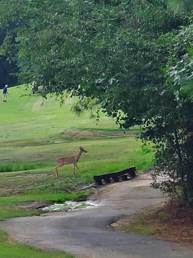 Golf Club «Waterford Golf Club Llc», reviews and photos, 1900 Clubhouse Rd, Rock Hill, SC 29730, USA