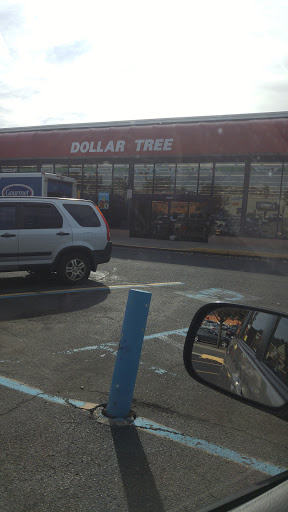 Dollar Store «Dollar Tree», reviews and photos, 24 Portland Ave, Bergenfield, NJ 07621, USA
