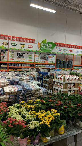 Home Improvement Store «The Home Depot», reviews and photos, 409 N Jackson Ave, Pharr, TX 78577, USA