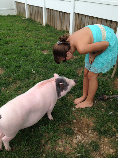 Pet Boarding Service «Howliday Inn Suites & Treats Pet Resort», reviews and photos, 1 Davis Ct, Hurricane, WV 25526, USA