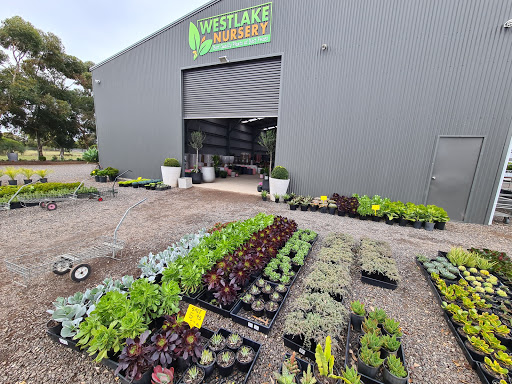 Westlake Nursery - Online Plants & Retail/Wholesale Nursery - Indoor/Outdoor Plants - Rockbank