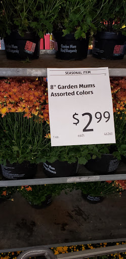 Supermarket «ALDI», reviews and photos, 11100 US-431, Guntersville, AL 35976, USA