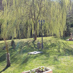 Photo n°2 de l'avis de Gianni.e fait le 01/04/2018 à 18:11 sur le  Da Enzino à Revigliasco