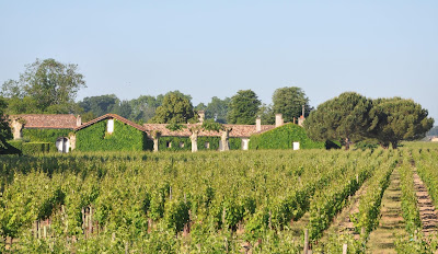 Château Broustet à Barsac