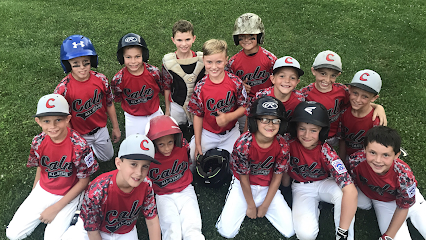 Caln Athletic Association and Little League