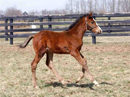 2038 Carmel Rd, Millville, NJ 08332, USA