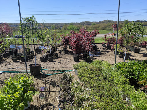 Garden Center «Quality Gardens», reviews and photos, 409 PA-228, Valencia, PA 16059, USA