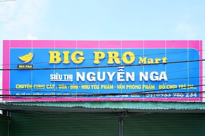 BIG PRO Mart - Nguyễn Nga