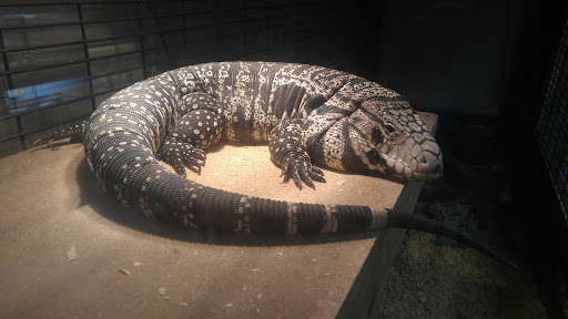 Pet Store «Just Pets», reviews and photos, 393 NY-5, Irving, NY 14081, USA