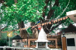 Raddolugama Shri Bodhi Maluwa image