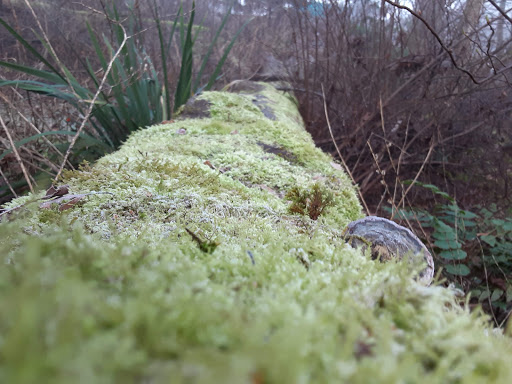 Park «Lewis Park», reviews and photos, 1120 15th Ave S, Seattle, WA 98144, USA