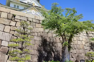 Taiyo-no-Hiroba (Osaka Castle Park) image