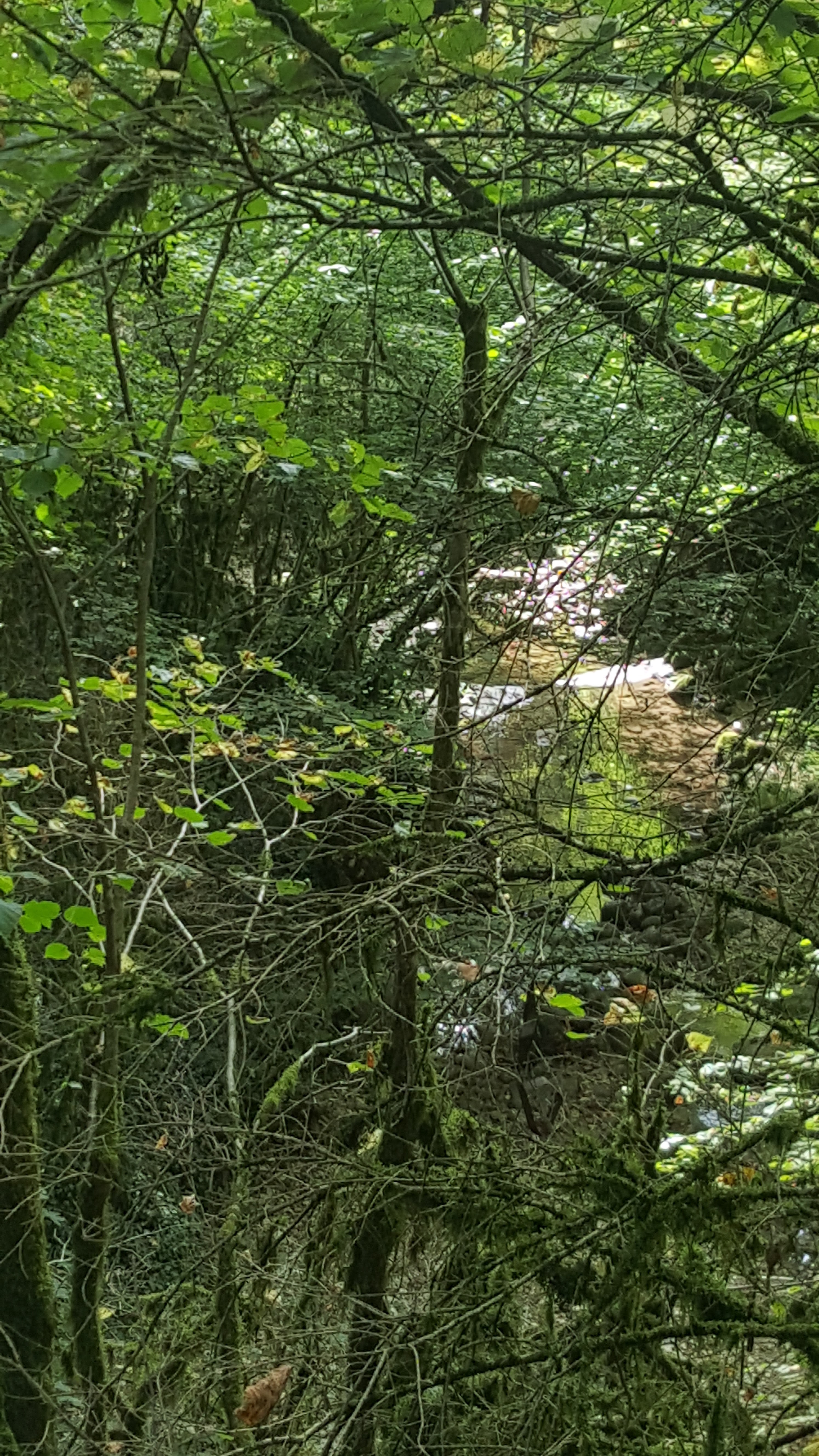 Photo n° 21 de l'avis de Vivi.o fait le 10/09/2018 à 07:44