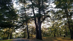 Roundtop Picnic Area - photo 13