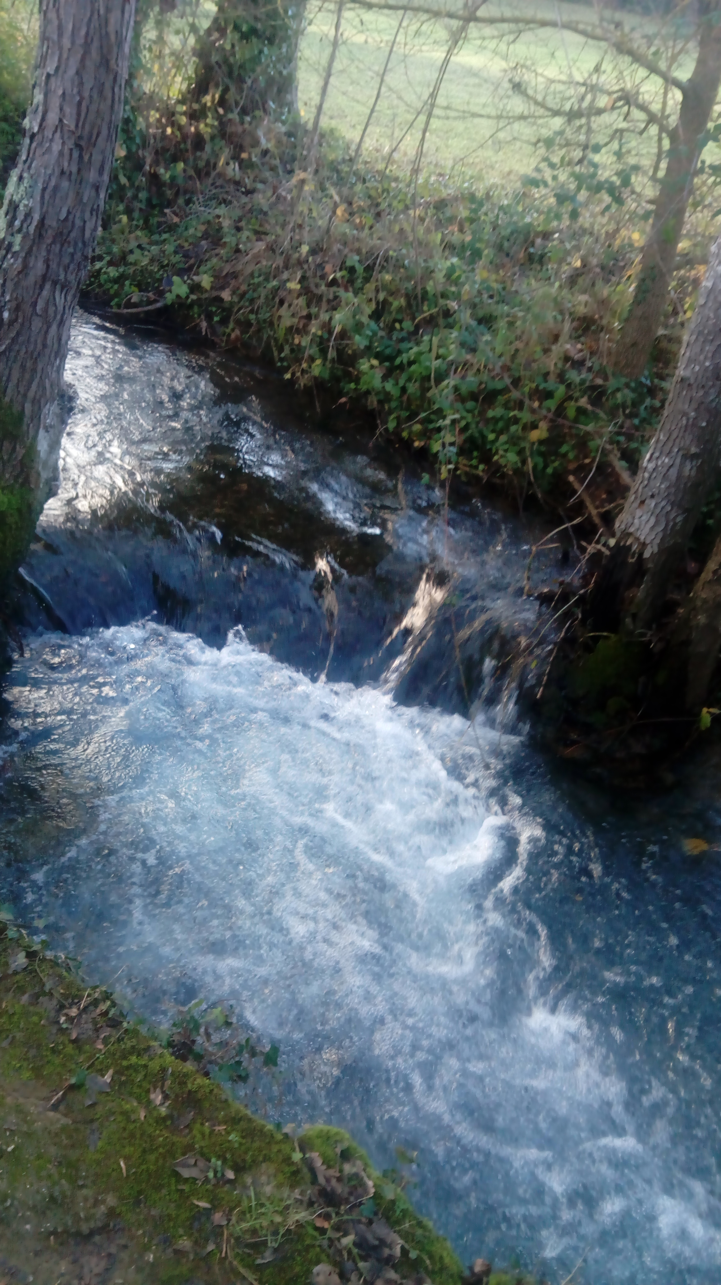 Photo n° 2 de l'avis de Christian.o fait le 24/12/2018 à 14:53