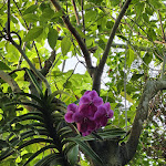 Photo n° 3 de l'avis de Julien.O fait le 03/12/2023 à 14:18 pour Jardin Botanique Jean-Marie Pelt à Villers-lès-Nancy