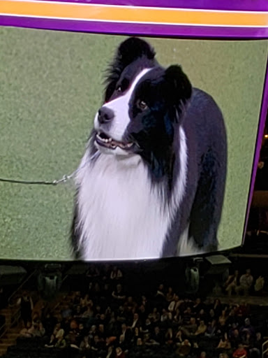 Arena «Madison Square Garden», reviews and photos, 4 Pennsylvania Plaza, New York, NY 10001, USA