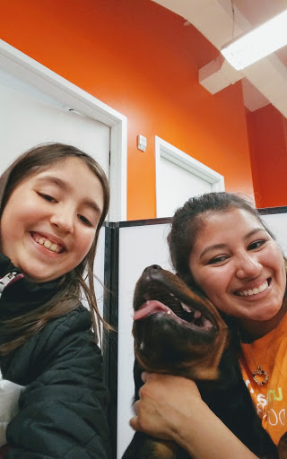 Pet Supply Store «Petco Animal Supplies», reviews and photos, 61-23 190th St, Fresh Meadows, NY 11365, USA