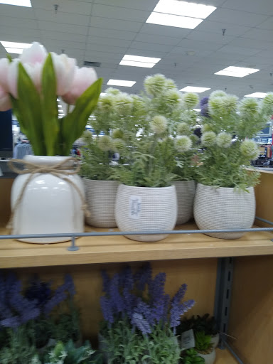 Department Store «Marshalls», reviews and photos, 2115 9th St N, Naples, FL 34102, USA