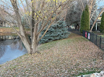 Cutting Edge Landscape - Photo 6 - Car repair in Nampa, ID, Nampa