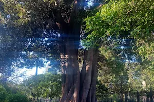 Glorieta de J. García y Ramos image