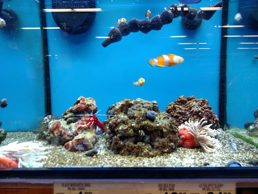 Pet Supply Store «Petco», reviews and photos, 3434 Court St, Pekin, IL 61554, USA