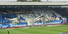 VfL Bochum 1848 Fußballgemeinschaft e. V.