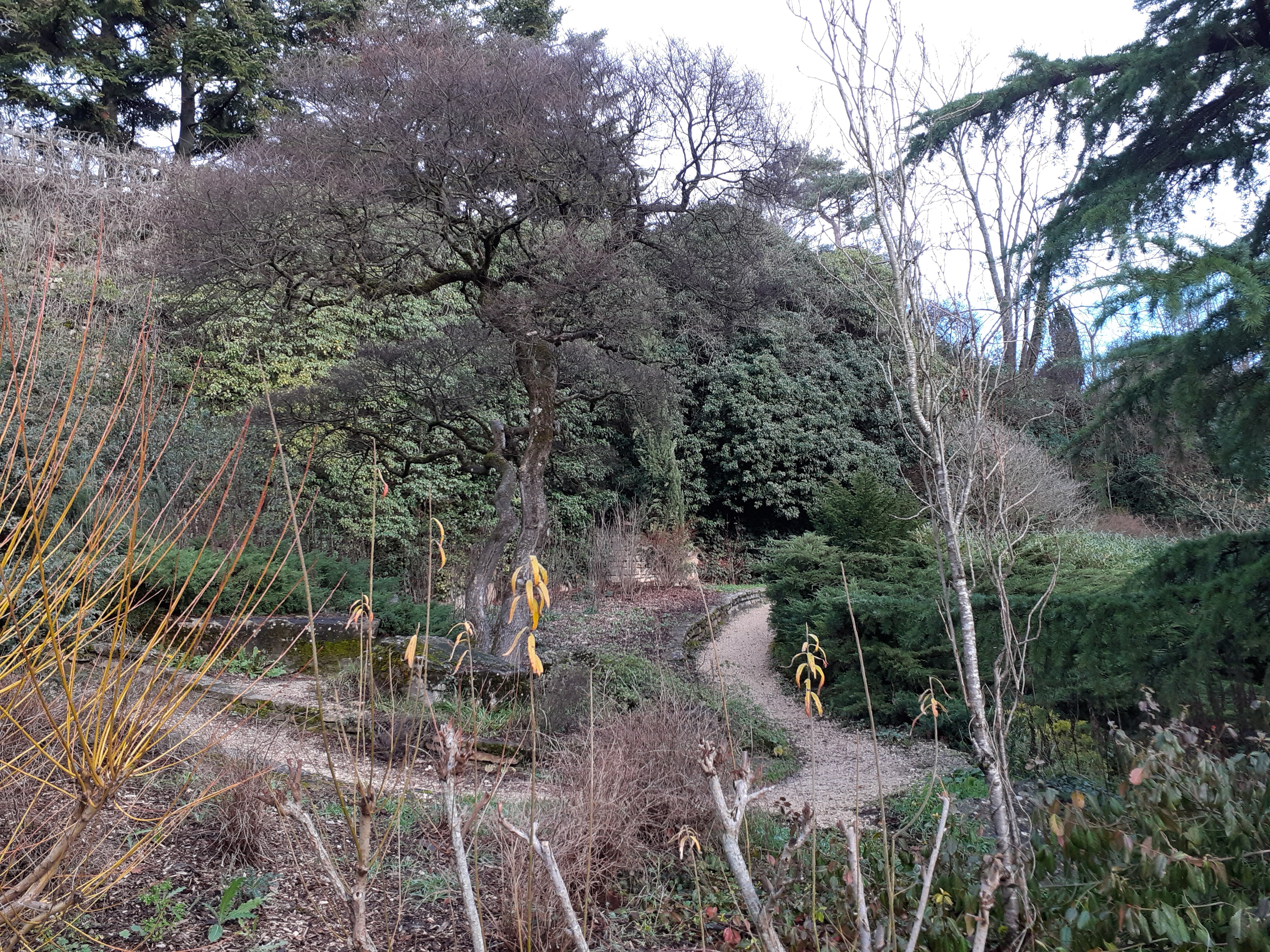 Photo n° 1 de l'avis de Christian.u fait le 19/12/2019 à 14:22