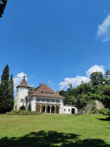 Rezensionen über Tagungszentrum Schloss Au in Schwyz - Kulturzentrum