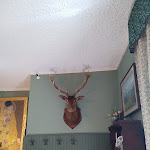 Photo n°3 de l'avis de Antonio.a fait le 30/04/2023 à 08:13 sur le  Trattoria Traversi à Berbenno di Valtellina