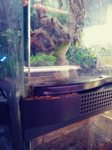 Animal Feed Store «Farmland Pets & Feed», reviews and photos, 9000 Silverdale Way NW, Silverdale, WA 98383, USA