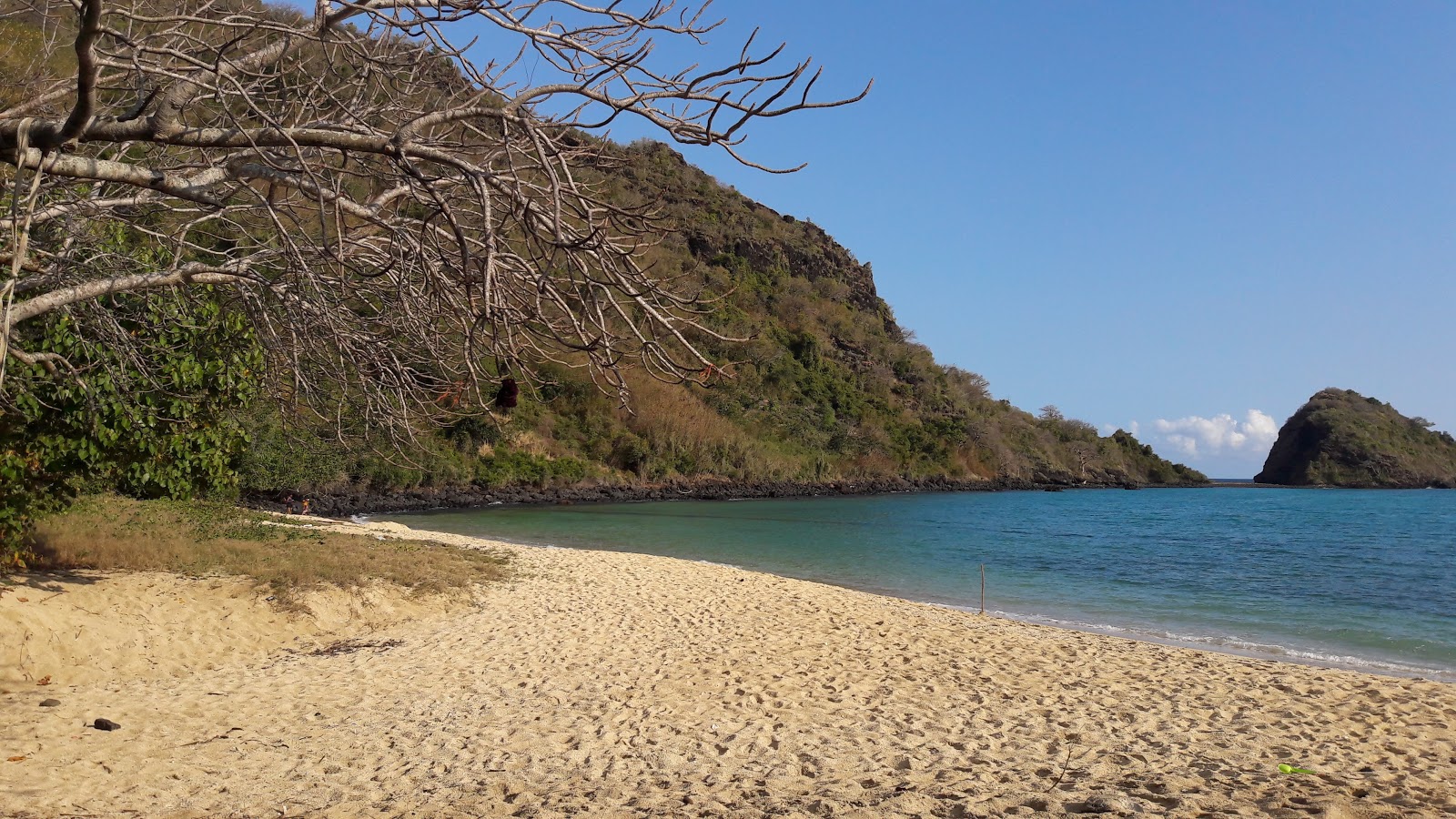Foto van Mtsanga Safari Beach met hoog niveau van netheid